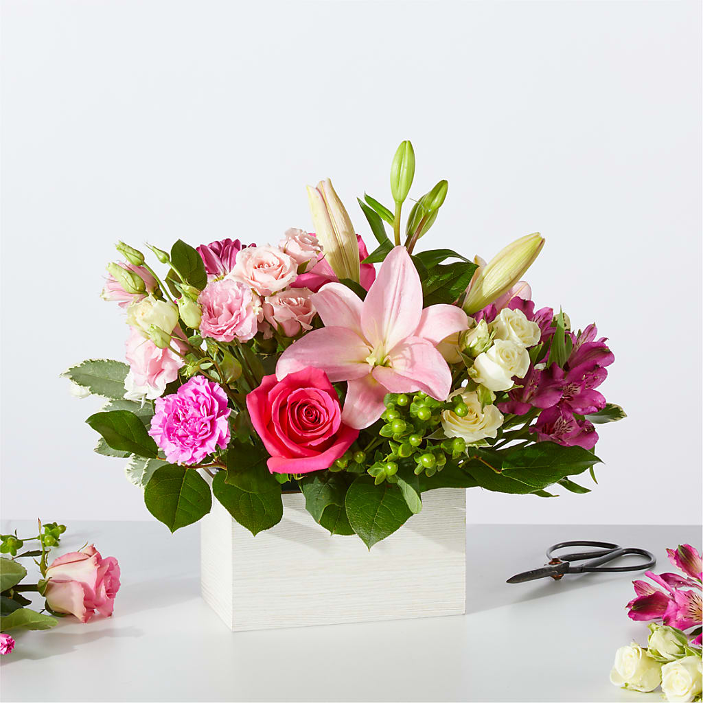 Sweetberry Box – A Florist Original – C IMONDI & SON FLORIST & GREENHOUSE, Pawtucket RI
