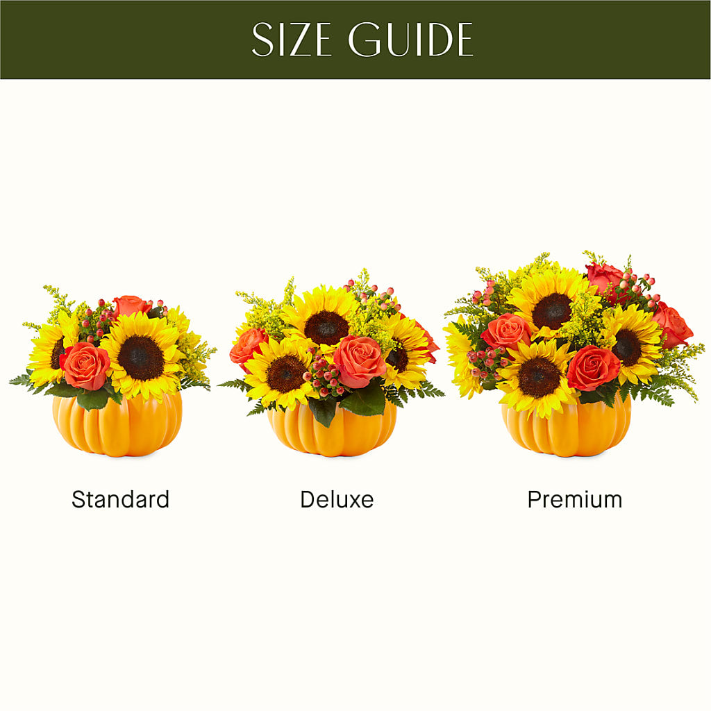 Pick of the Patch Pumpkin Bouquet – C IMONDI & SON FLORIST & GREENHOUSE, Pawtucket RI