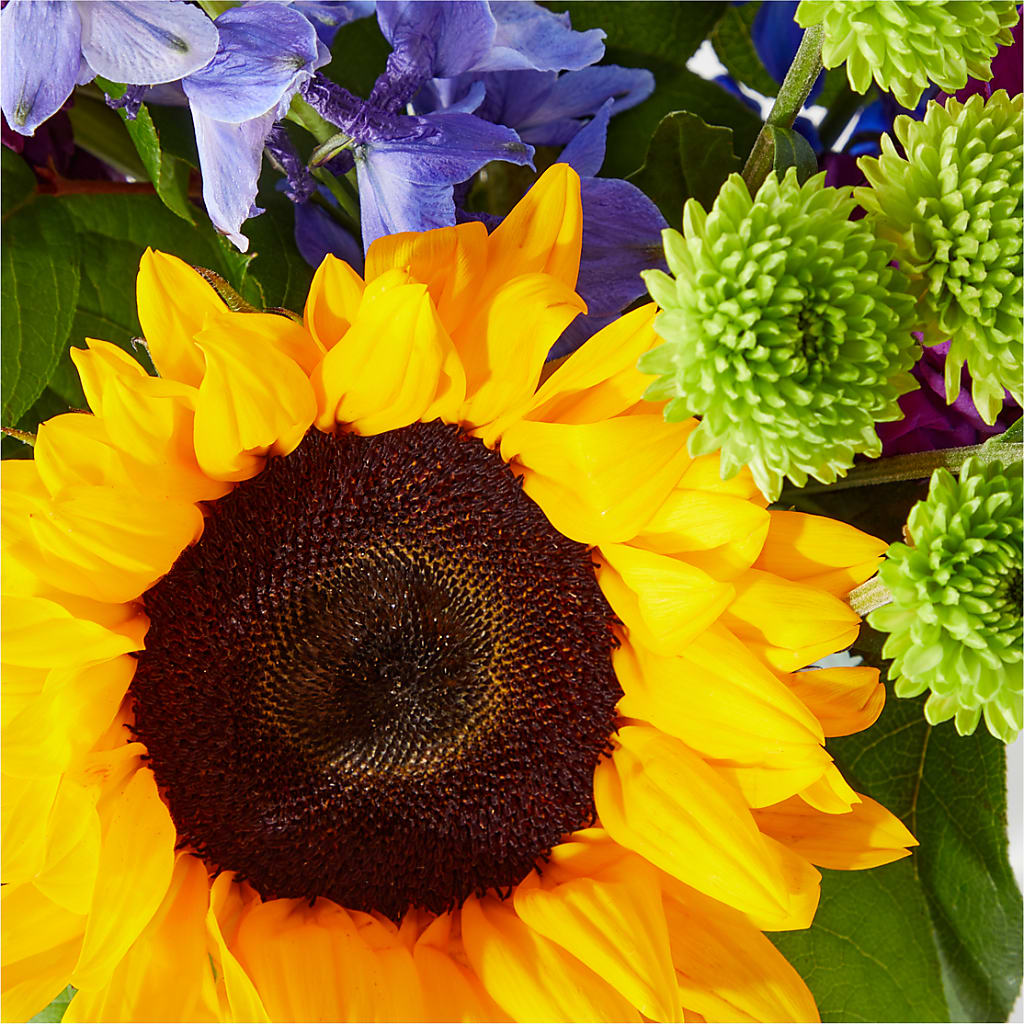 Catching Rays Bouquet – C IMONDI & SON FLORIST & GREENHOUSE, Pawtucket RI