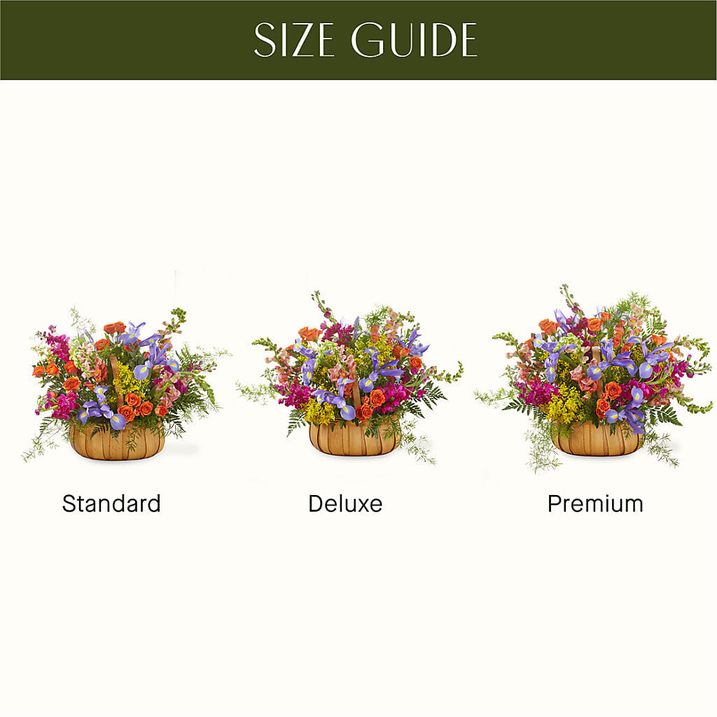 Garden of Life Basket – C IMONDI & SON FLORIST & GREENHOUSE, Pawtucket RI