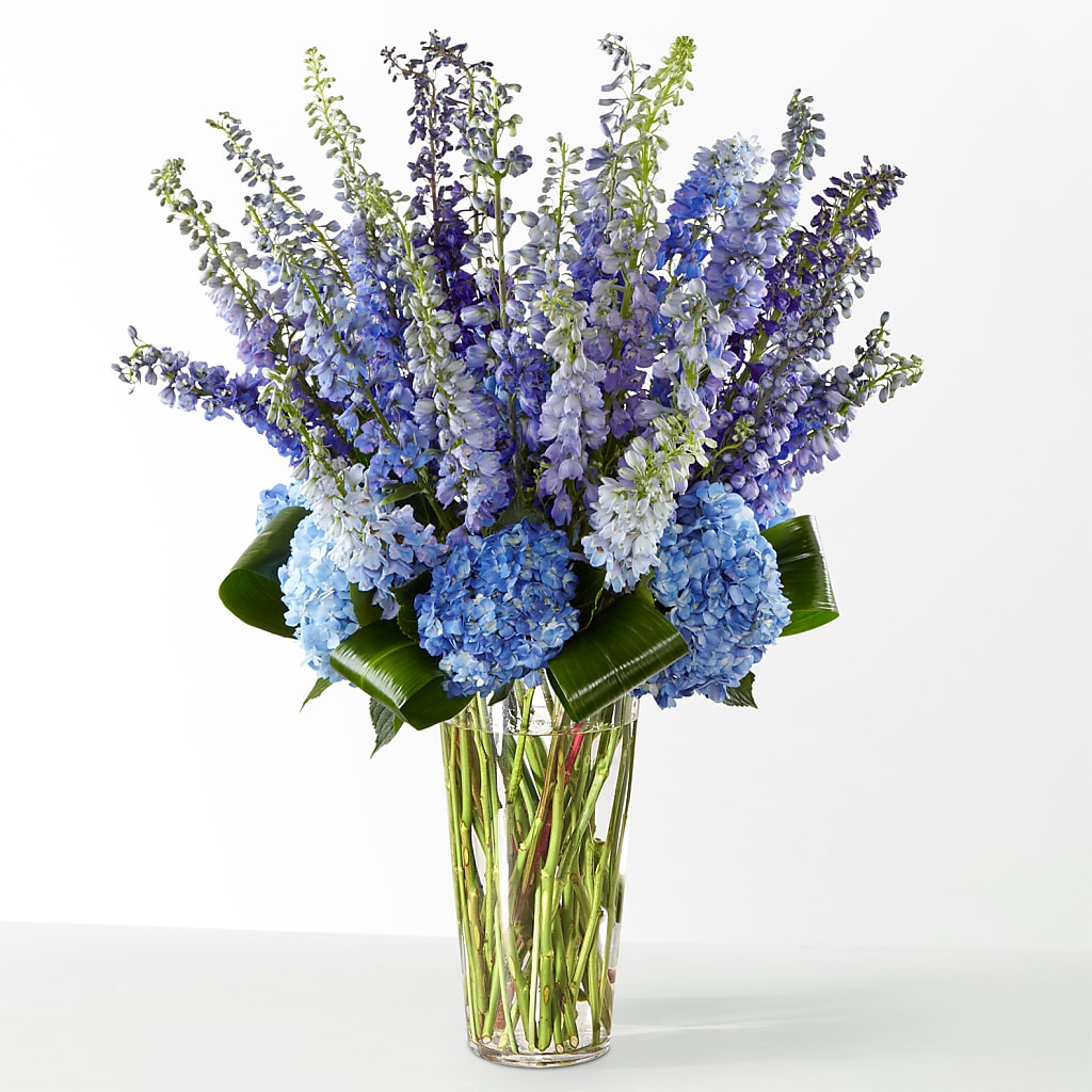 The Editorial – C IMONDI & SON FLORIST & GREENHOUSE, Pawtucket RI