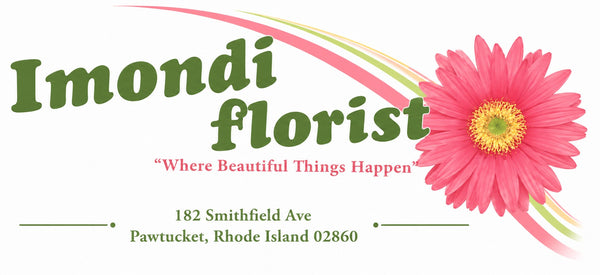 C Imondi & Son Florist & Greenhouse