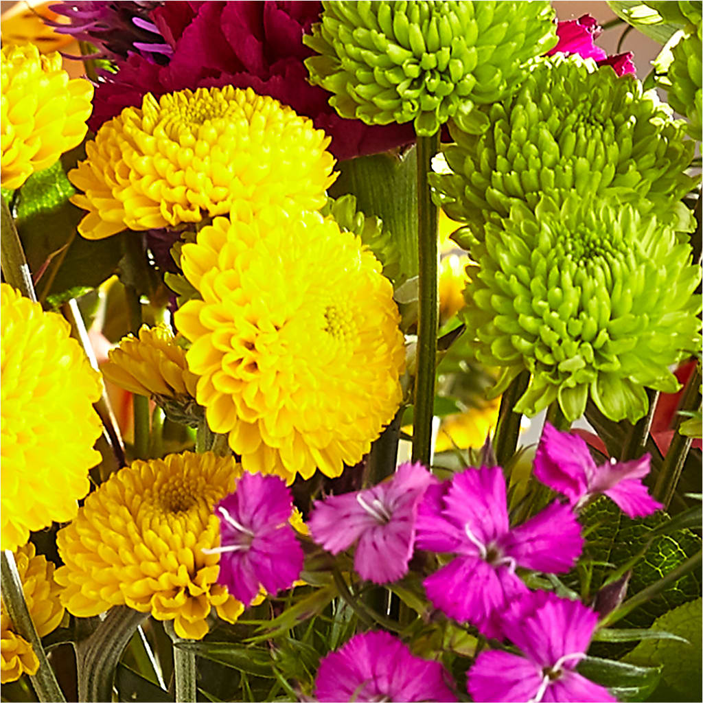 Bold & Bright – A Florist Original – C IMONDI & SON FLORIST & GREENHOUSE, Pawtucket RI