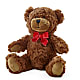 Adorable Plush Bear – C IMONDI & SON FLORIST & GREENHOUSE, Pawtucket RI