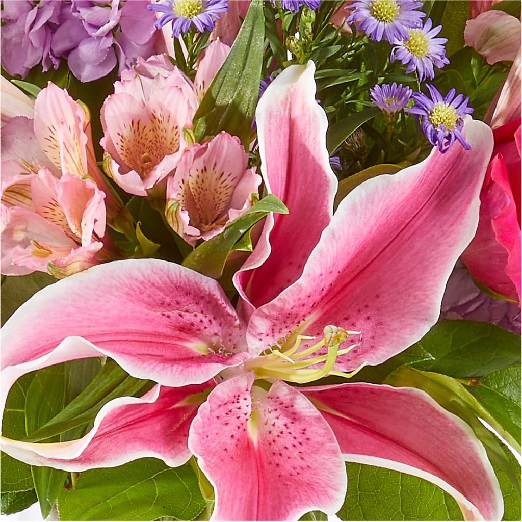 Written in the Stars Bouquet – C IMONDI & SON FLORIST & GREENHOUSE, Pawtucket RI