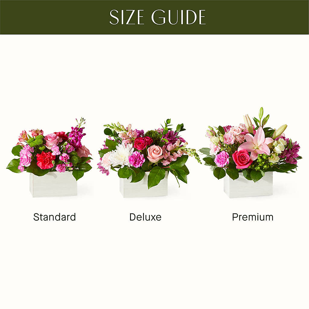 Sweetberry Box – A Florist Original – C IMONDI & SON FLORIST & GREENHOUSE, Pawtucket RI