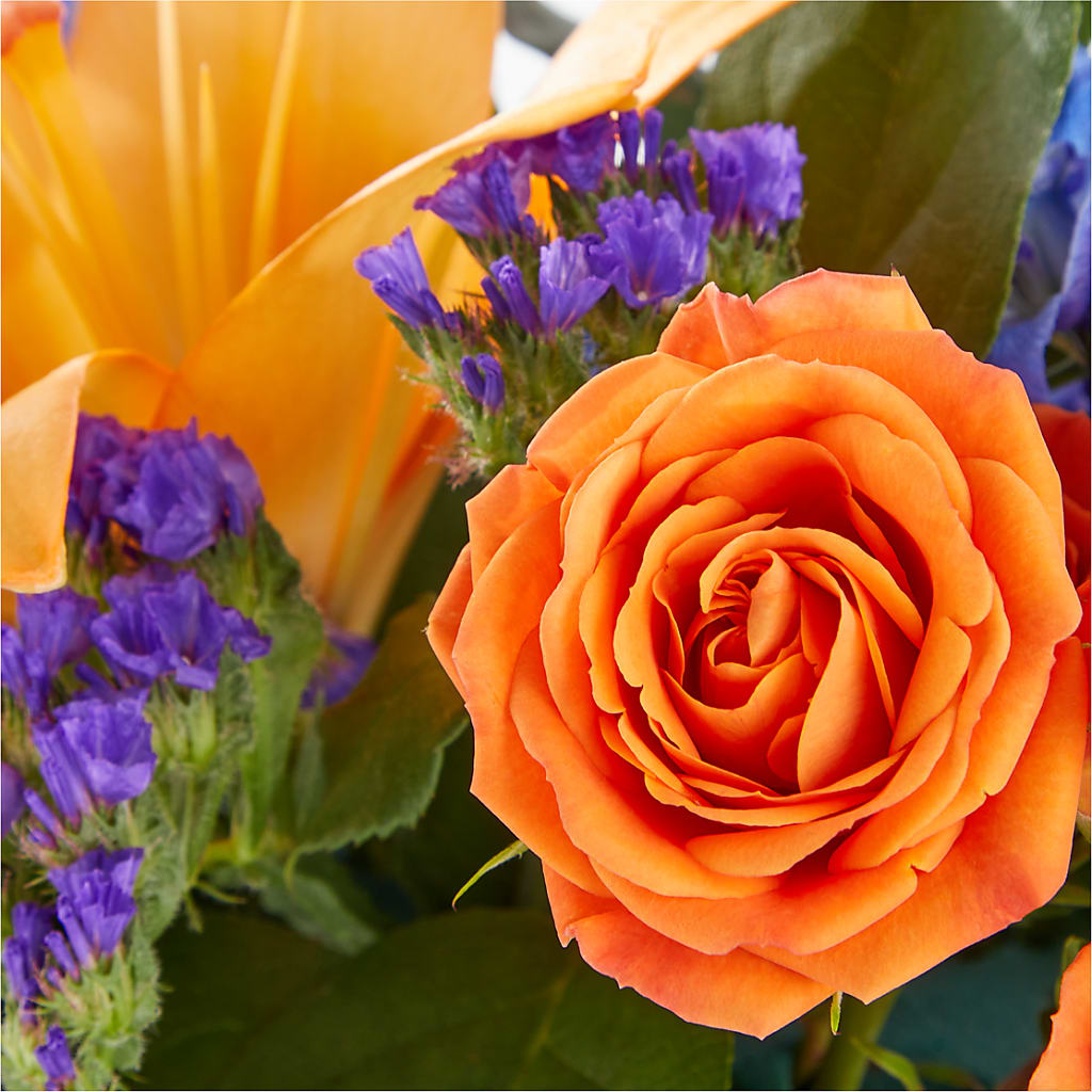 Radiant Citrus Box Bouquet – C IMONDI & SON FLORIST & GREENHOUSE, Pawtucket RI