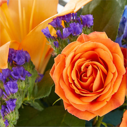 Radiant Citrus Box Bouquet – C IMONDI & SON FLORIST & GREENHOUSE, Pawtucket RI