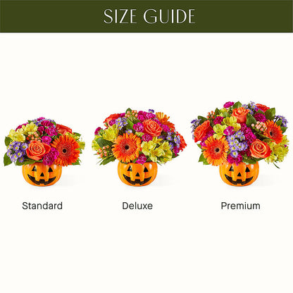 Tricks & Treats Pumpkin – C IMONDI & SON FLORIST & GREENHOUSE, Pawtucket RI