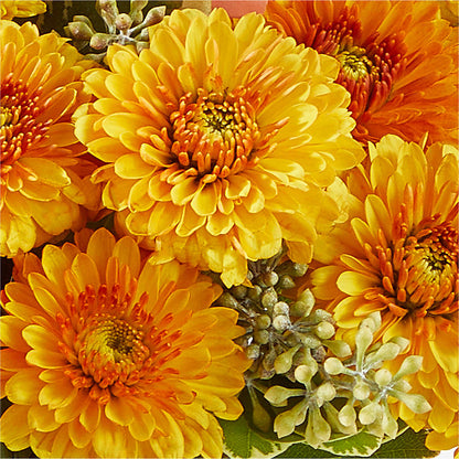 Peachy Pumpkin – C IMONDI & SON FLORIST & GREENHOUSE, Pawtucket RI