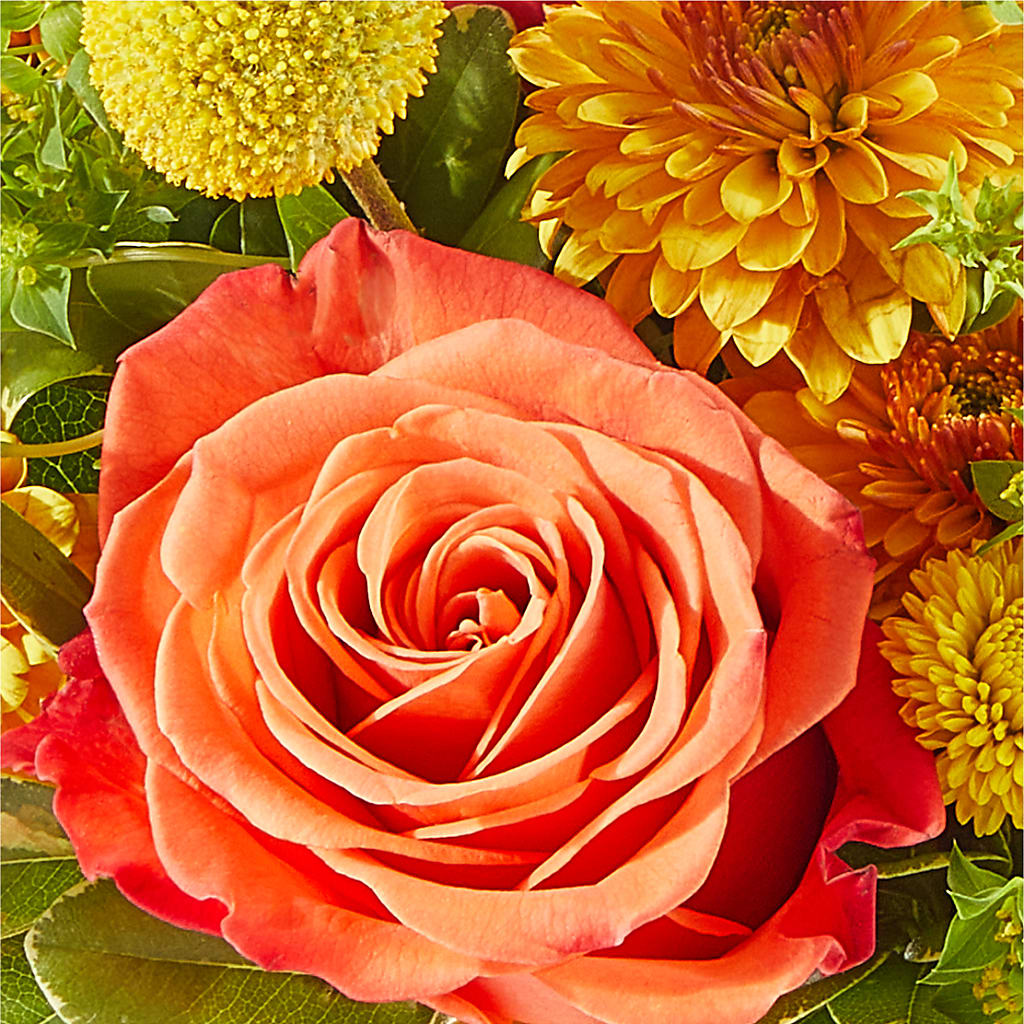 Gourdgeous Pumpkin – C IMONDI & SON FLORIST & GREENHOUSE, Pawtucket RI
