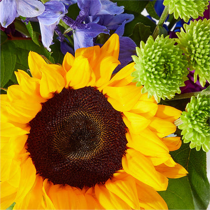 Catching Rays Bouquet – C IMONDI & SON FLORIST & GREENHOUSE, Pawtucket RI