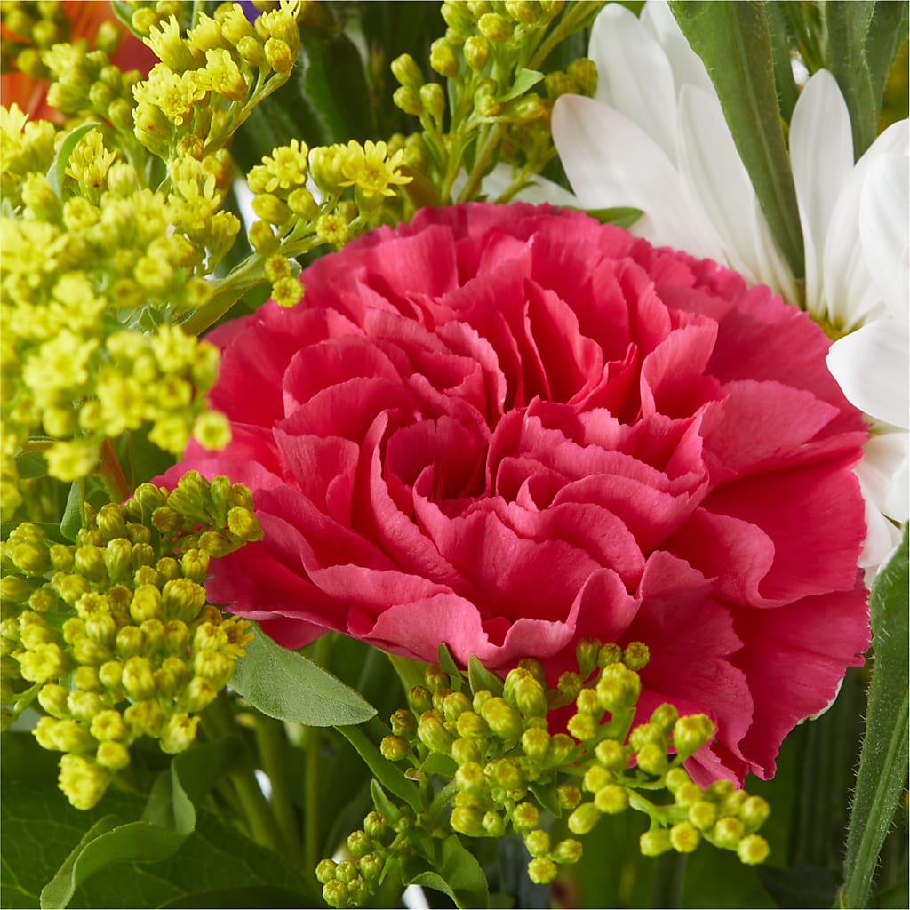 Oopsie Daisy Bouquet – C IMONDI & SON FLORIST & GREENHOUSE, Pawtucket RI