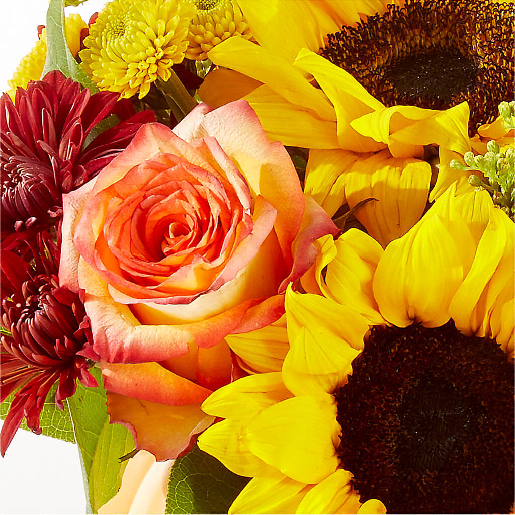 Golden Gourd Pumpkin Bouquet – C IMONDI & SON FLORIST & GREENHOUSE, Pawtucket RI