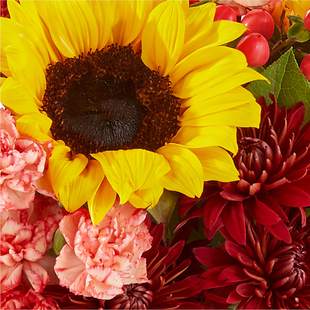 Fresh Cider Bouquet – C IMONDI & SON FLORIST & GREENHOUSE, Pawtucket RI