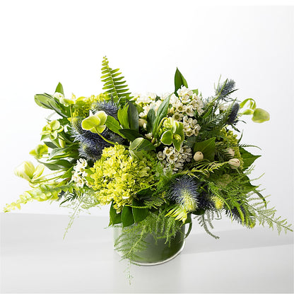 The Botanical Gardens – C IMONDI & SON FLORIST & GREENHOUSE, Pawtucket RI