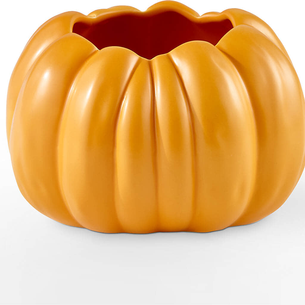 Golden Gourd Pumpkin Bouquet – C IMONDI & SON FLORIST & GREENHOUSE, Pawtucket RI