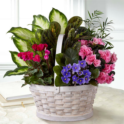 Peaceful Garden Planter – C IMONDI & SON FLORIST & GREENHOUSE, Pawtucket RI