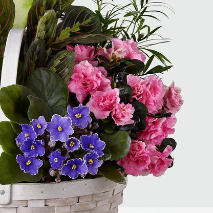Peaceful Garden Planter – C IMONDI & SON FLORIST & GREENHOUSE, Pawtucket RI