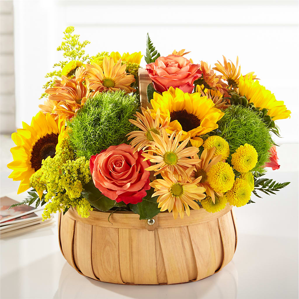 Harvest Sunflower Basket – C IMONDI & SON FLORIST & GREENHOUSE, Pawtucket RI