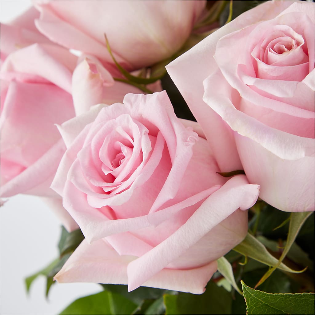 Picture Perfect Pink Rose Bouquet – C IMONDI & SON FLORIST & GREENHOUSE, Pawtucket RI