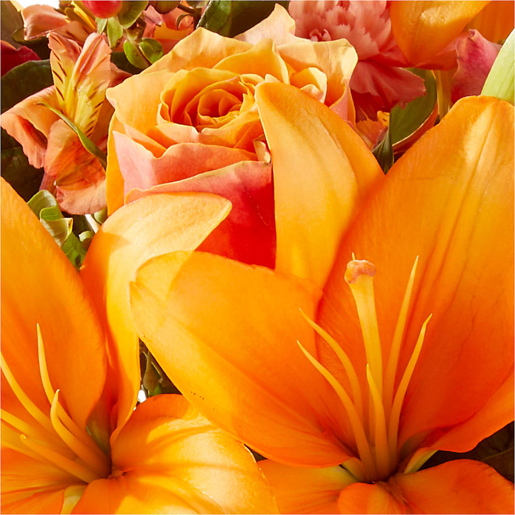 Afternoon Light Bouquet – C IMONDI & SON FLORIST & GREENHOUSE, Pawtucket RI