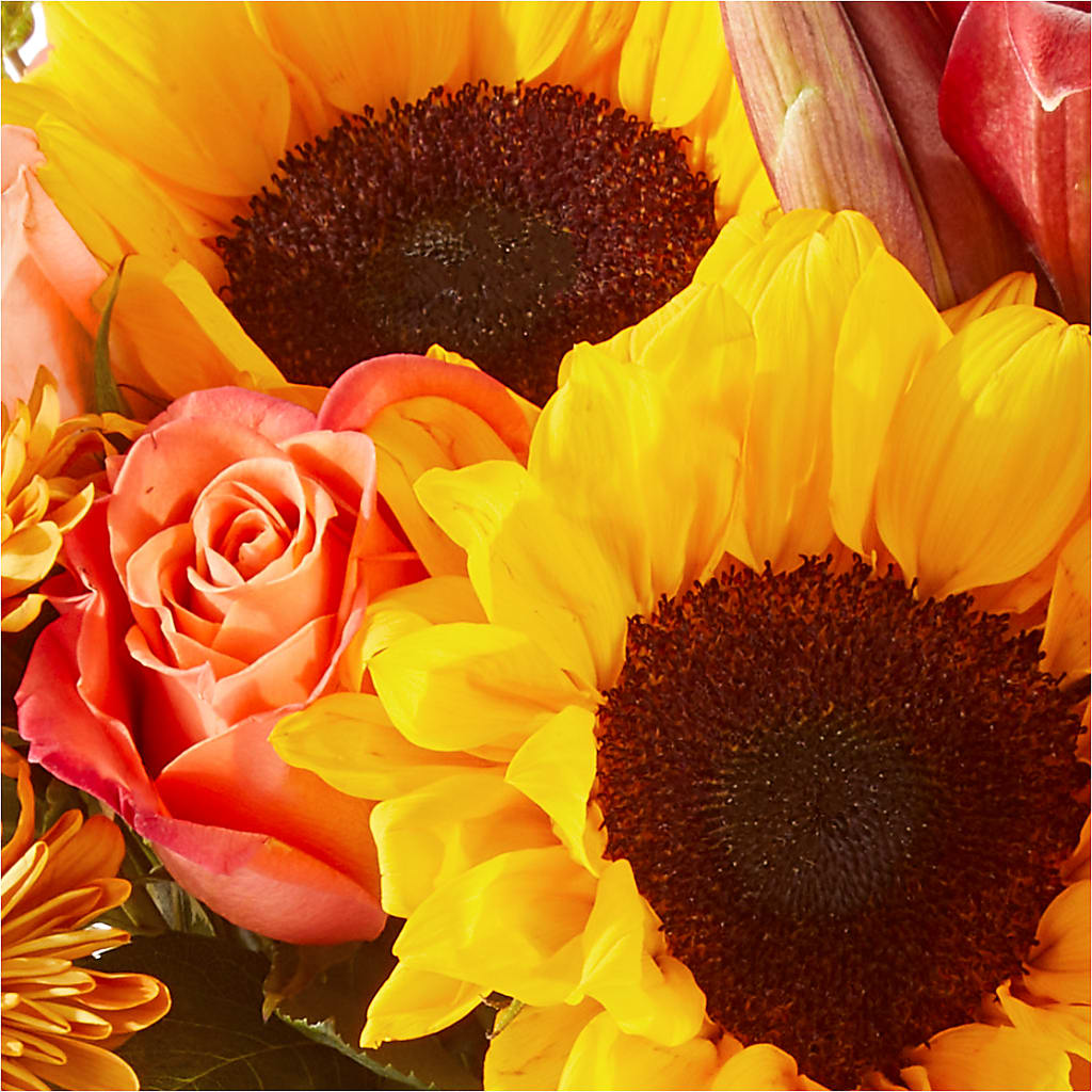 Acorn Lane Bouquet – C IMONDI & SON FLORIST & GREENHOUSE, Pawtucket RI