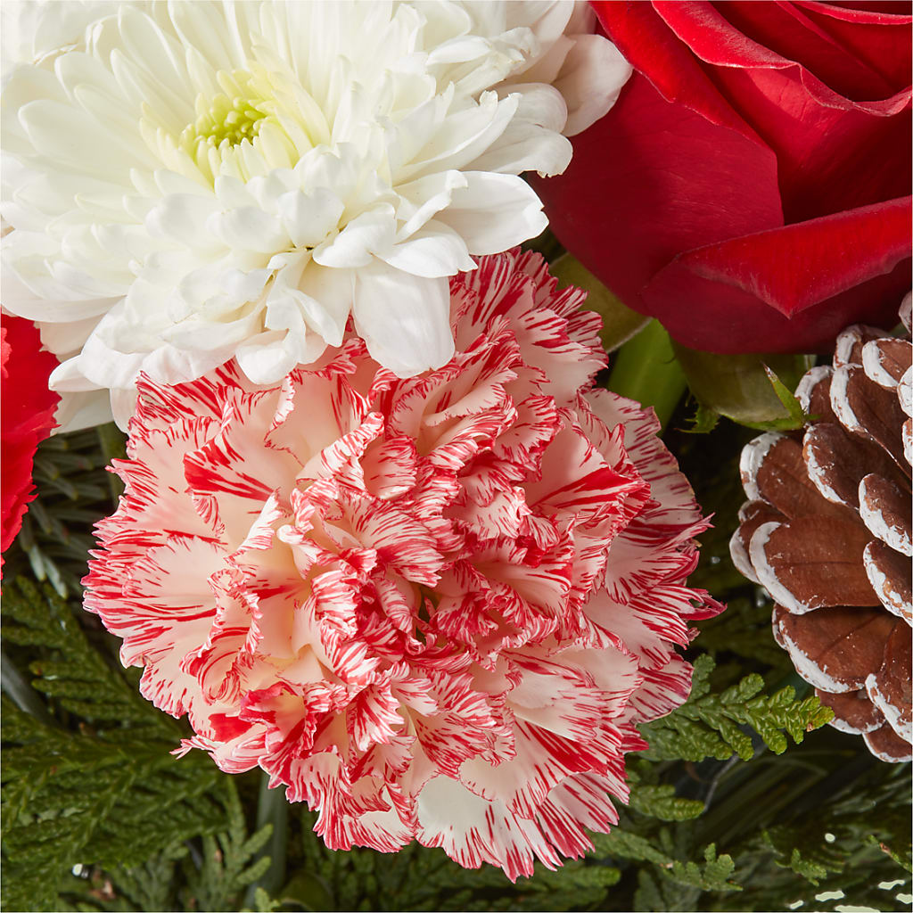 Candy Cane Lane Bouquet – C IMONDI & SON FLORIST & GREENHOUSE, Pawtucket RI