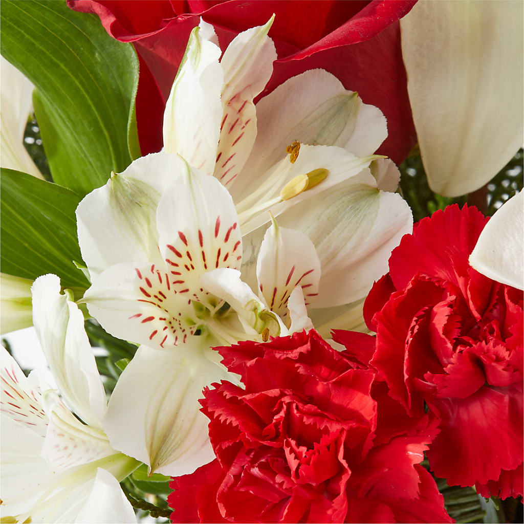 Holiday Season Bouquet – C IMONDI & SON FLORIST & GREENHOUSE, Pawtucket RI