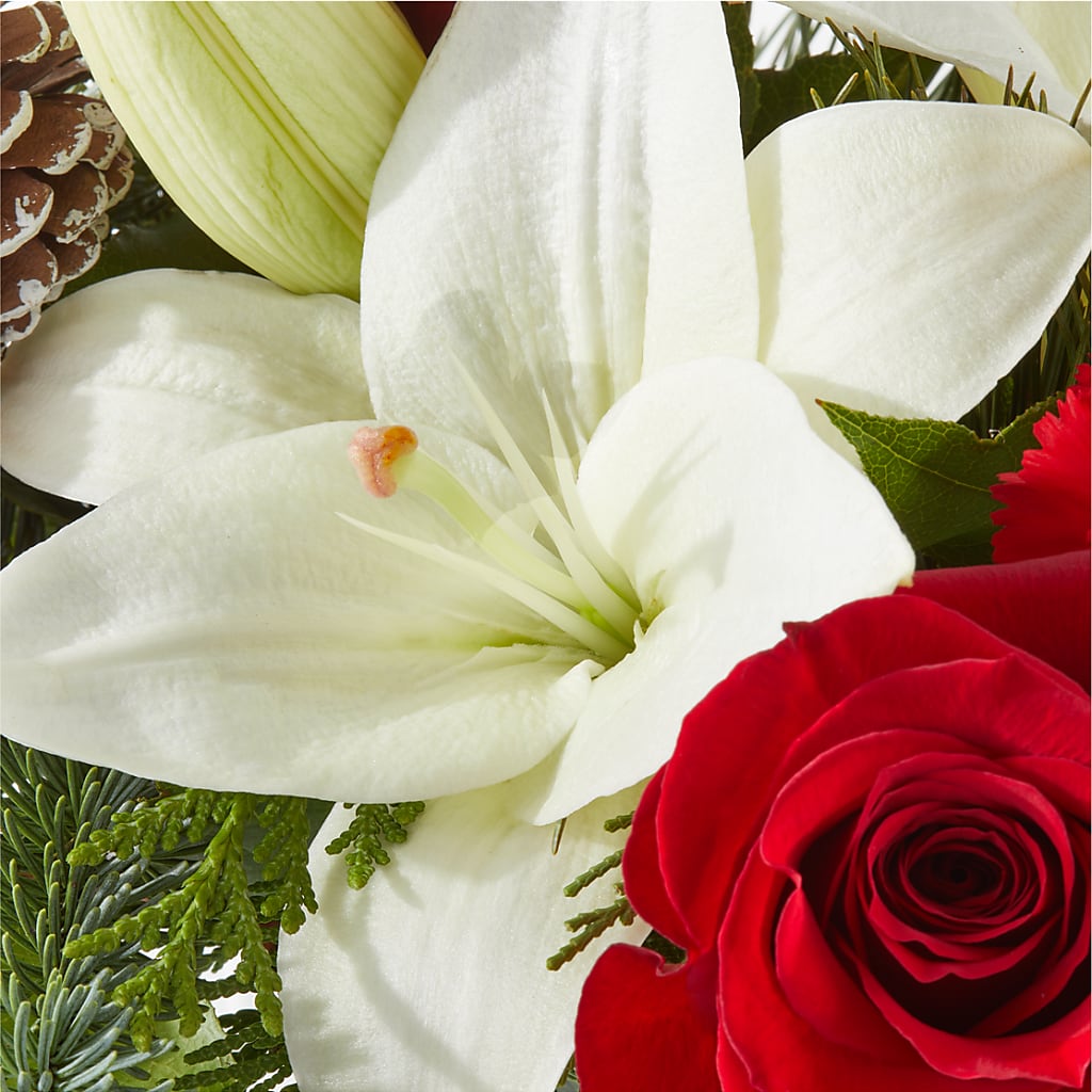 Oh So Jolly Bouquet – C IMONDI & SON FLORIST & GREENHOUSE, Pawtucket RI