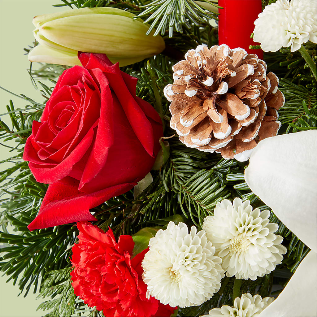 Seasonal Festivities Centerpiece – C IMONDI & SON FLORIST & GREENHOUSE, Pawtucket RI