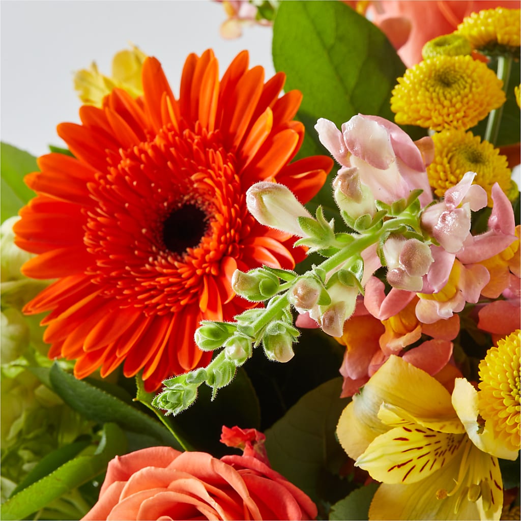 Autumn Sunshine Bouquet – C IMONDI & SON FLORIST & GREENHOUSE, Pawtucket RI
