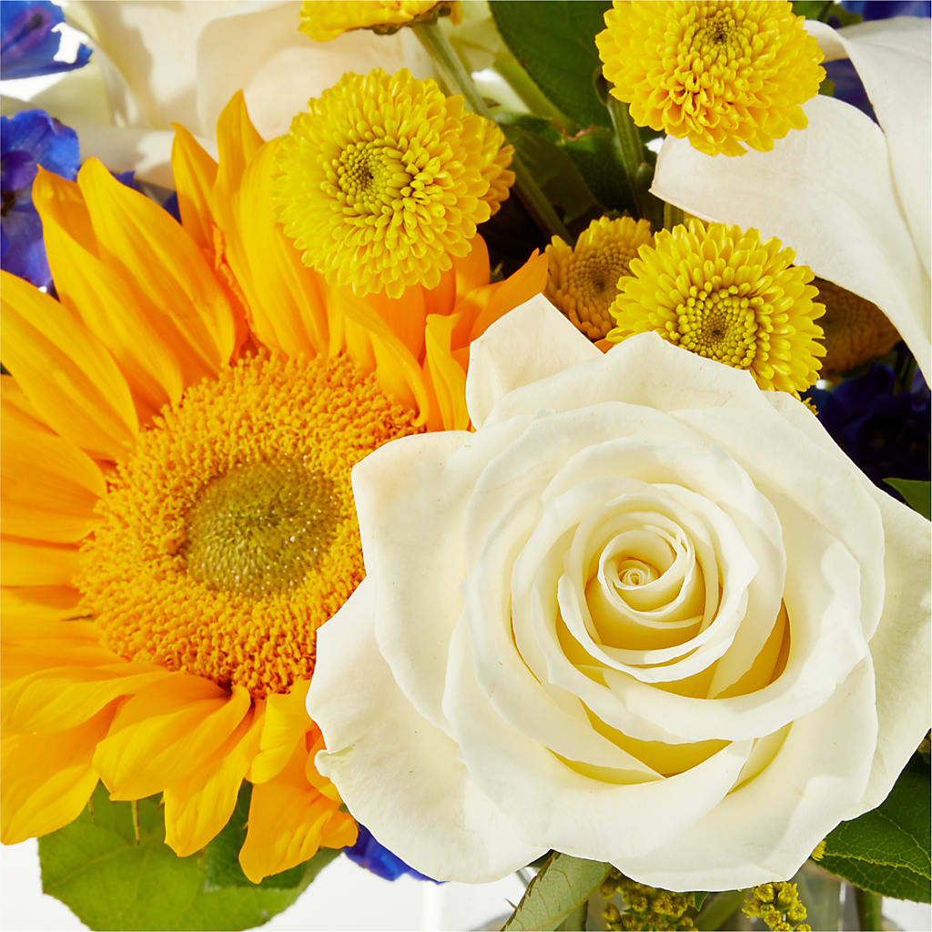 Stargazing Bouquet – C IMONDI & SON FLORIST & GREENHOUSE, Pawtucket RI