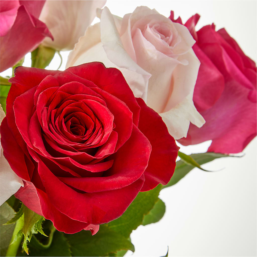 Charming Rose Bouquet – C IMONDI & SON FLORIST & GREENHOUSE, Pawtucket RI