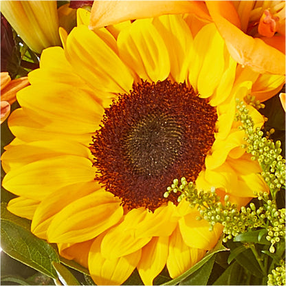 Seasons Change Bouquet – C IMONDI & SON FLORIST & GREENHOUSE, Pawtucket RI
