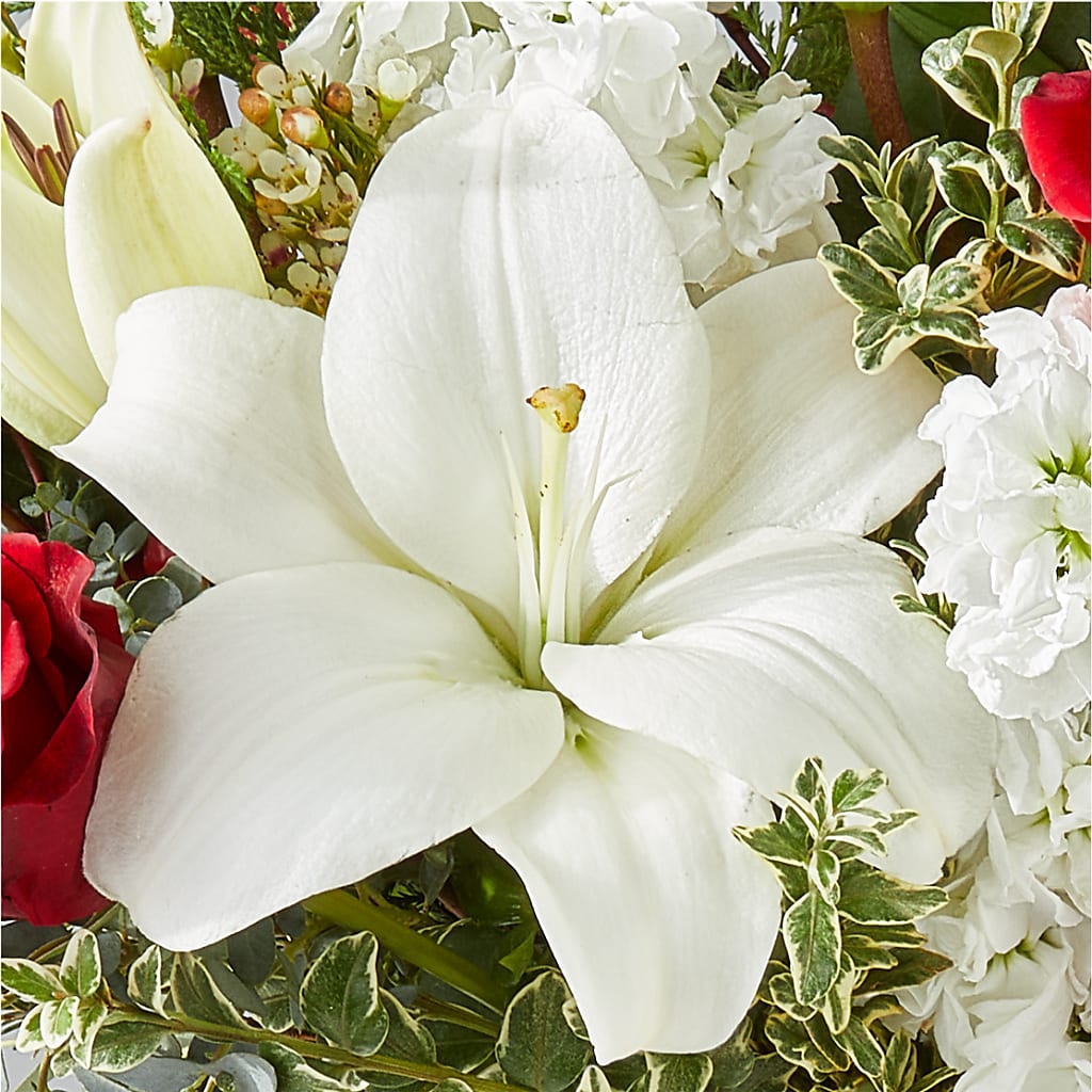 Twinkle Lights Bouquet – C IMONDI & SON FLORIST & GREENHOUSE, Pawtucket RI