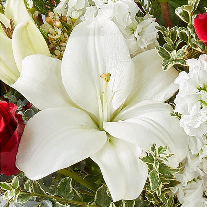 Twinkle Lights Bouquet – C IMONDI & SON FLORIST & GREENHOUSE, Pawtucket RI