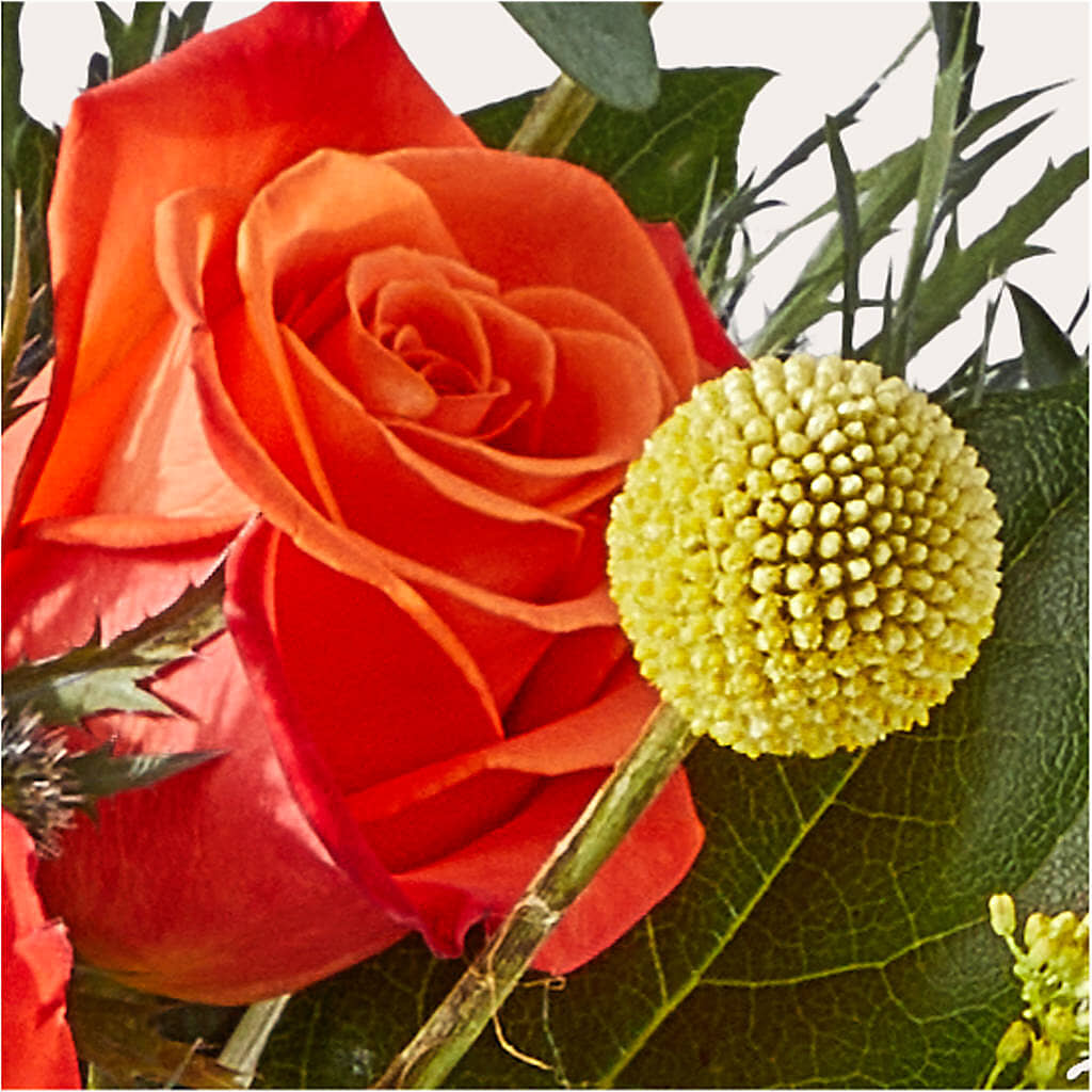 Disco Bouquet – C IMONDI & SON FLORIST & GREENHOUSE, Pawtucket RI