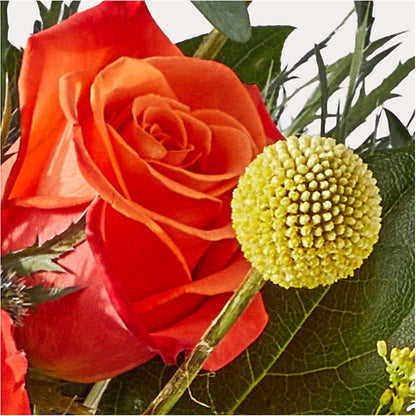 Disco Bouquet – C IMONDI & SON FLORIST & GREENHOUSE, Pawtucket RI