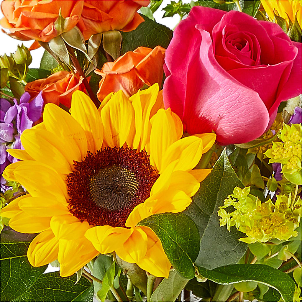 Vibrant Greetings Bouquet – C IMONDI & SON FLORIST & GREENHOUSE, Pawtucket RI