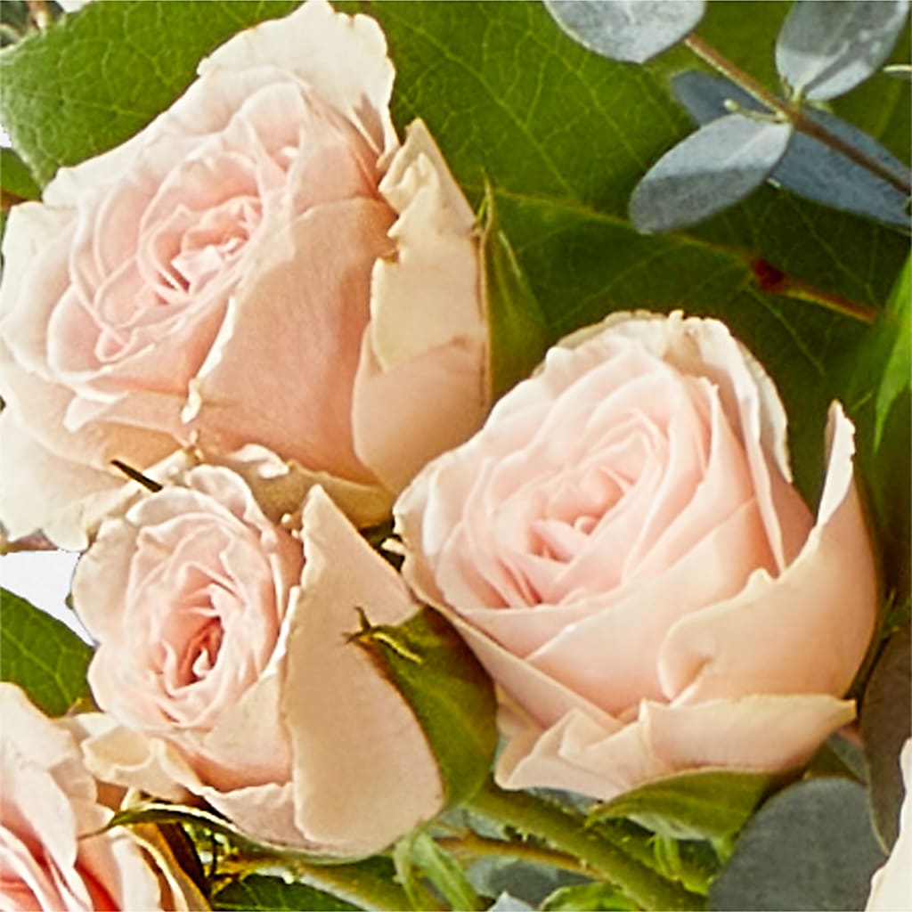 Inspired Bouquet – C IMONDI & SON FLORIST & GREENHOUSE, Pawtucket RI