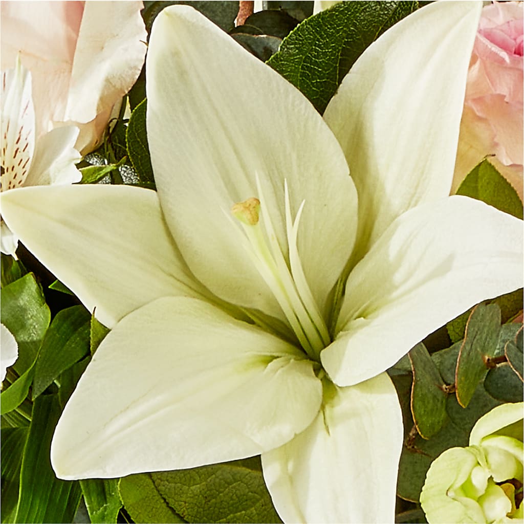Ballet Slippers Bouquet – C IMONDI & SON FLORIST & GREENHOUSE, Pawtucket RI