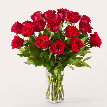 The One Red Rose Bouquet – C IMONDI & SON FLORIST & GREENHOUSE, Pawtucket RI