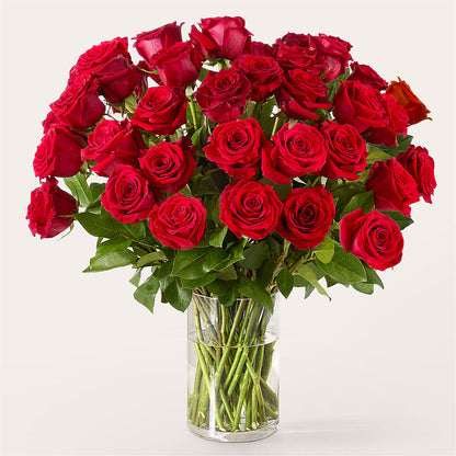 The One Red Rose Bouquet – C IMONDI & SON FLORIST & GREENHOUSE, Pawtucket RI