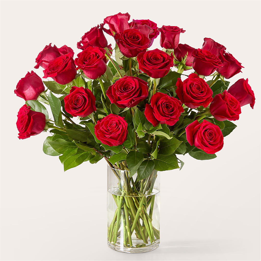 The One Red Rose Bouquet – C IMONDI & SON FLORIST & GREENHOUSE, Pawtucket RI