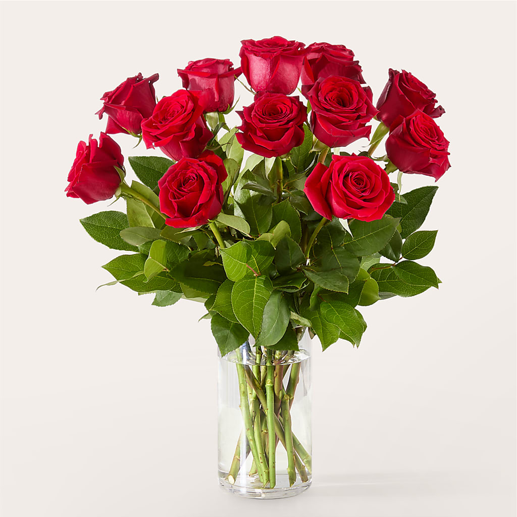 The One Red Rose Bouquet – C IMONDI & SON FLORIST & GREENHOUSE, Pawtucket RI