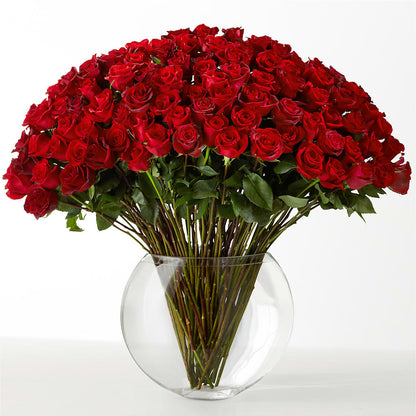 The Idealist – C IMONDI & SON FLORIST & GREENHOUSE, Pawtucket RI