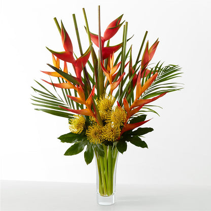 The Drama – C IMONDI & SON FLORIST & GREENHOUSE, Pawtucket RI