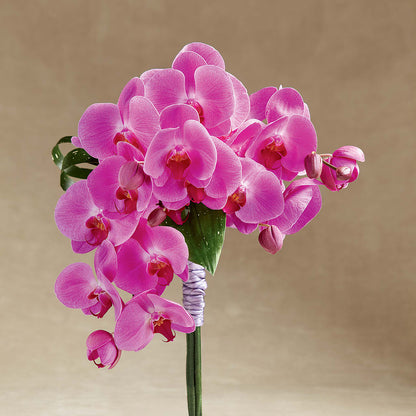 Glorious Bouquet – C IMONDI & SON FLORIST & GREENHOUSE, Pawtucket RI